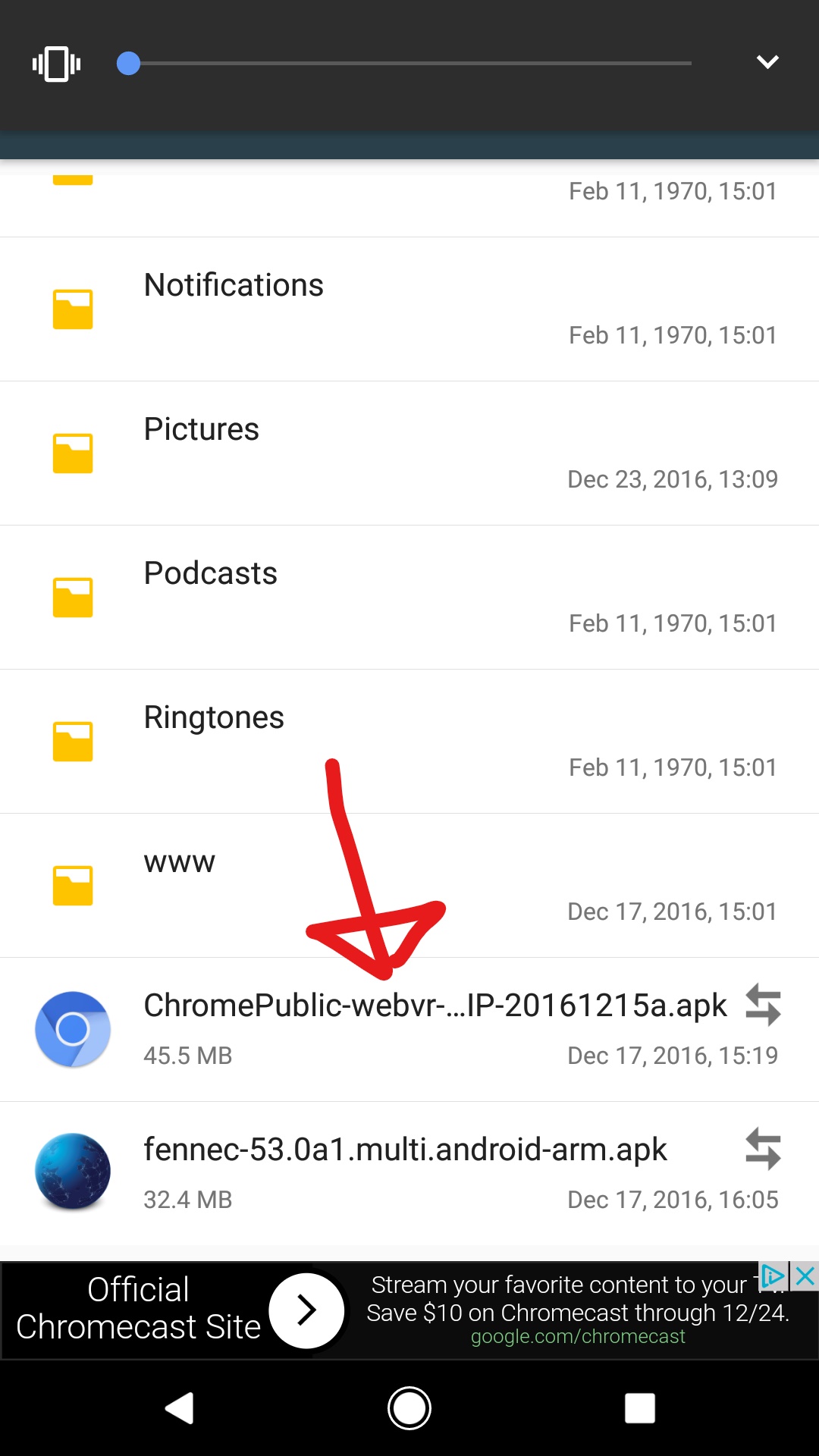 Screenshot showing the chromium apk