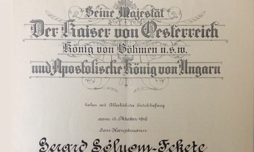 Cover image for the Sólyom Fekete family history project post